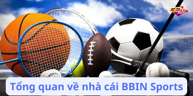 Tổng quan về nhà cái BBIN Sports